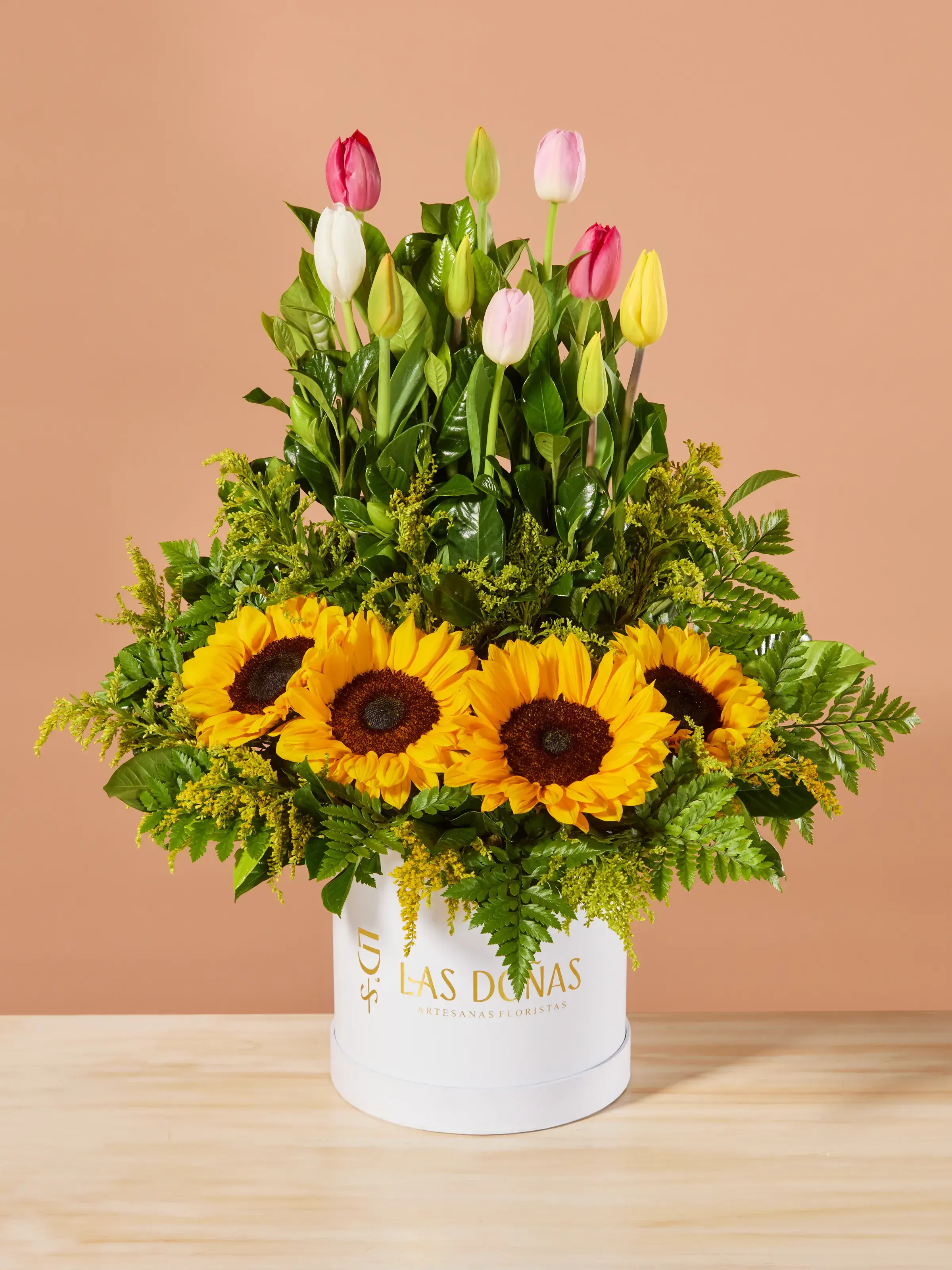 storage/images/productos/hOUuW3fcjd_VisualMasterStudio 1466_8_11zon.webp